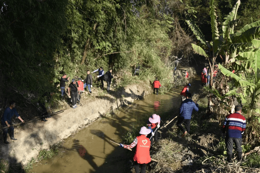 聚焦“百千万工程”丨投4340万改造灌区！清城区清淤工作经验获省肯定(图4)