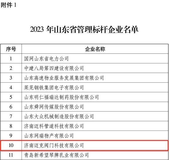 济南迈克阀门科技有限公司顺利通过山东省管理标杆企业认定(图2)