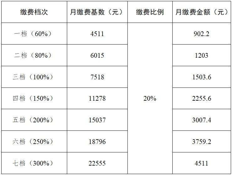 2025成都最新社保缴费标准出炉(图2)